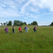 Nature Caching mit einer Schulklasse